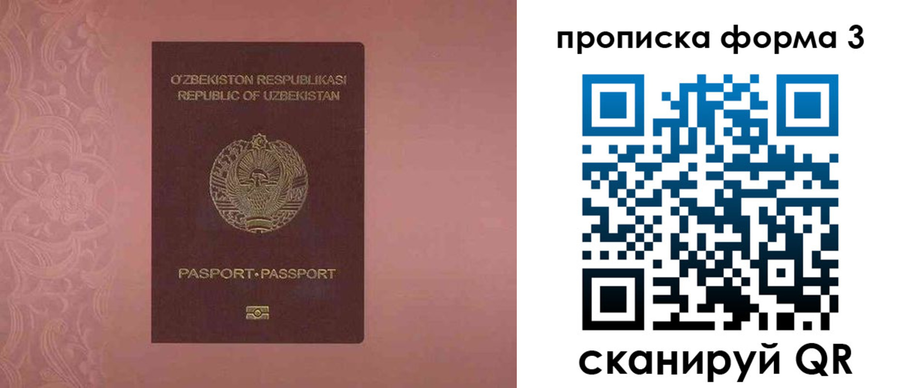 регистрация в Камчатской области